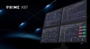 Empowering Traders Exploring the PrimeXBT Hub