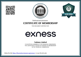 Everything You Need to Know About the Exness App Everything You Need to Know About the Exness App