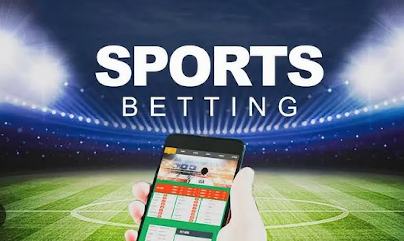 Betwinner La Référence des Paris Sportifs et Casinos en Ligne